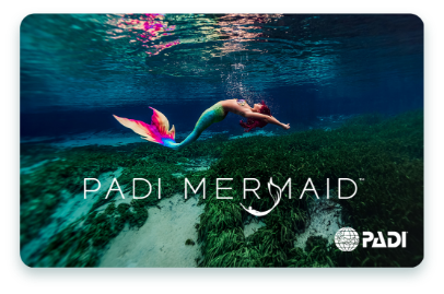 MERMAIDプログラムCカード