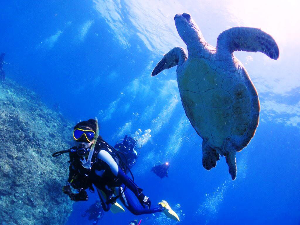 往復航空券付き宿泊パッケージプラン マレア宮古島