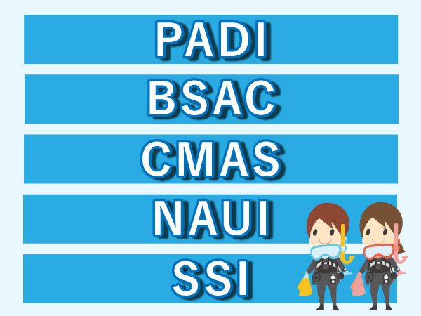 スキューバダイビング指導団体